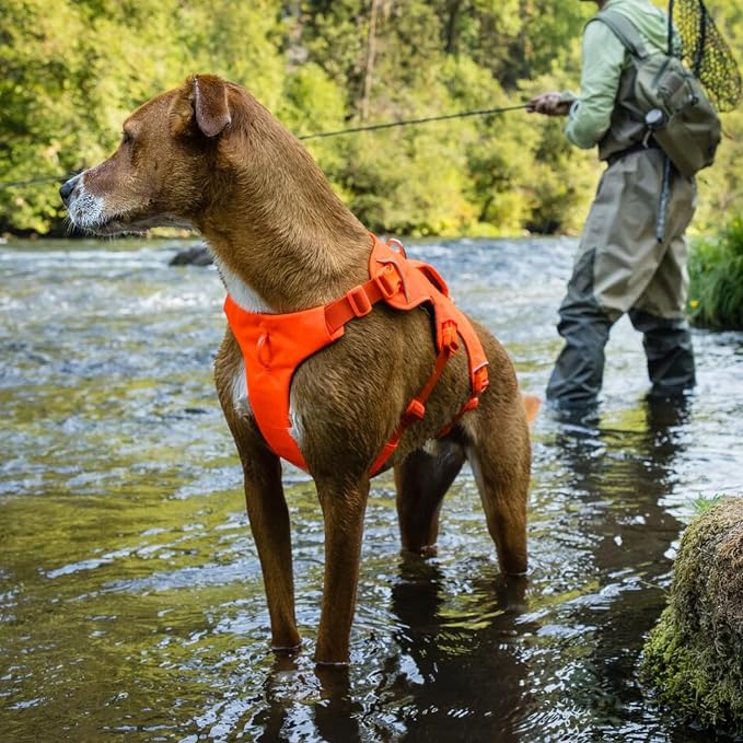 Ruffwear, Web Master, Multi-Use Support Dog Harness, Hiking and Trail Running, Service and Working, Everyday Wear, River Rock Green, XX-Small