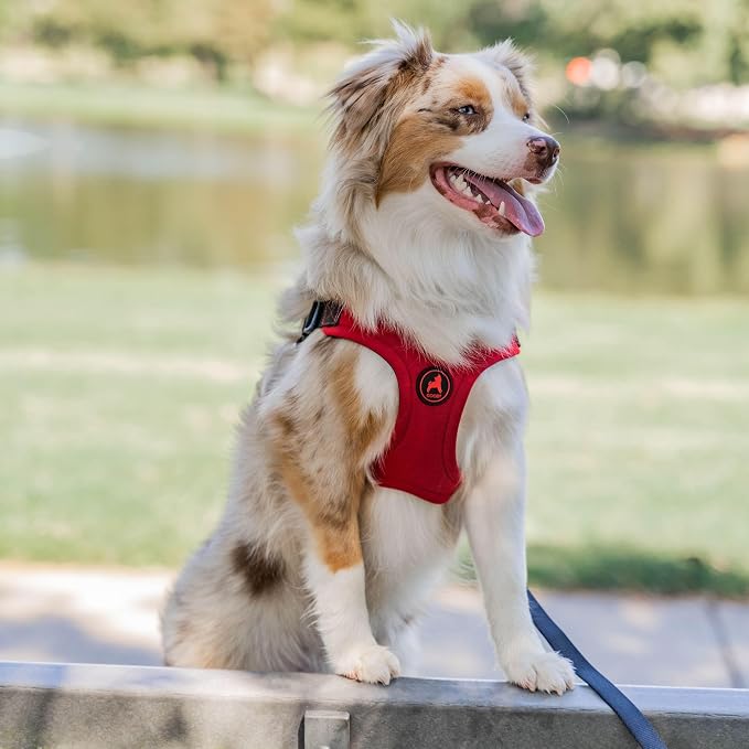 Gooby Escape Free Sport Dog Harness, Choke-Free, Pink, Small | Patented escape-free frame; Reduces choking; 4-point adjustment; Soft neoprene padding; Durable webbed straps