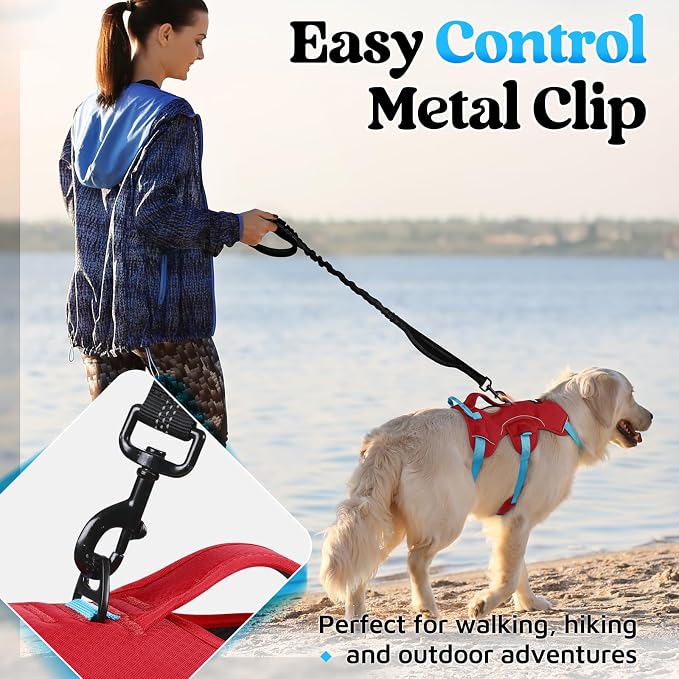 rabbitgoo Escape Proof Dog Harness for X-Large, No Pull with Lift Handle | No Escape, Full Soft Padded, Reflective Adjustable Vest, Leash Clip for Walking Hiking Training, Sky Blue & Red, X-Large