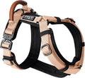 MADE TO ROAM Premium Explorer Harness - Y-Shaped Dog Harness with Adjustable Durable Nylon, Soft Padding, Metal Buckles and Leather Handle for Small, Medium, Large Dogs (Carolina Blooms, Size 7)