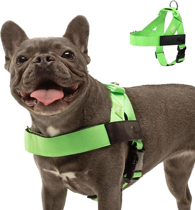 Dog Friendly Co. Dog Harness for Large Breeds (Neon Green, Extra Large) | One Click Buckle, Chafe Resistant Webbing, Adjustable Neck & Chest, and Heavy Duty D-Ring, Sturdy Comfortable and Easy to Use