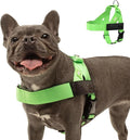 Dog Friendly Co. Dog Harness for Medium Sized Dogs (Neon Green, Medium) | One Click Buckle, Chafe Resistant Webbing, Adjustable Neck & Chest, and Heavy Duty D-Ring, Sturdy Comfortable and Easy to Use