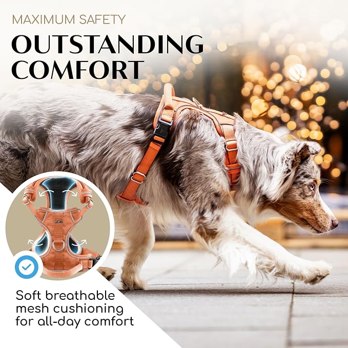 Freudentier No Pull Dog Harness with Handle, Front & Back Clips, Reflective | Soft breathable mesh padding - perfect fit with no chafing or slipping - comfortable dog vest for small, medium & large dogs