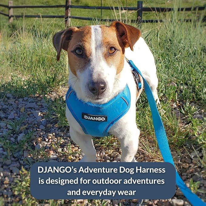 Adventure Dog Harness - Stylish & Durable Small Dog Harness for Outdoor Adventures and Everyday Wear - Pacific Blue Neoprene Adjustable Harness for Dogs with Reflective Piping, Brass D-Ring
