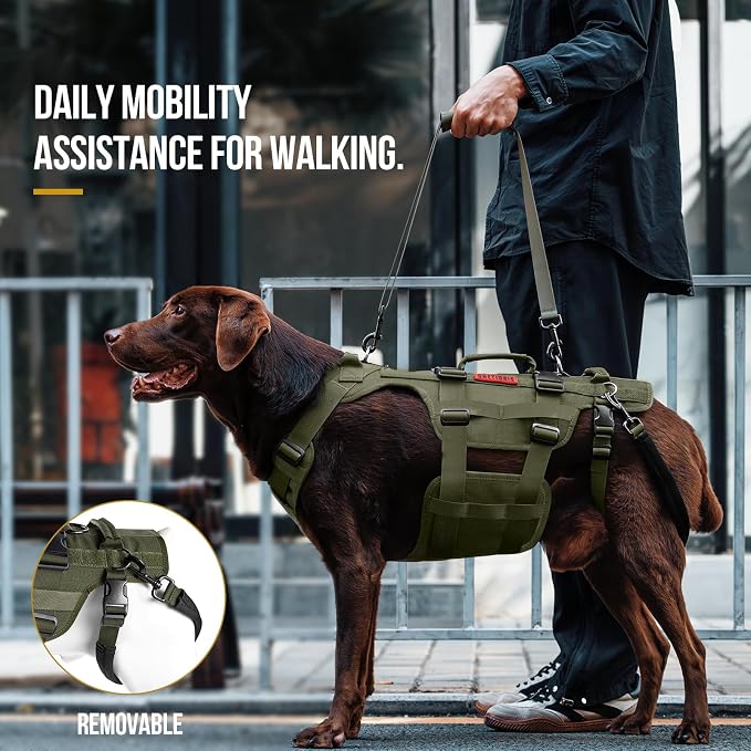 OneTigris Dog Lift Harness for Large Dogs, Dog Hip Support Brace, Full Body Dogs Lifter with Handles Invictus Multifunctional Mobility Assistance Vest for Back Legs (Green, Small)