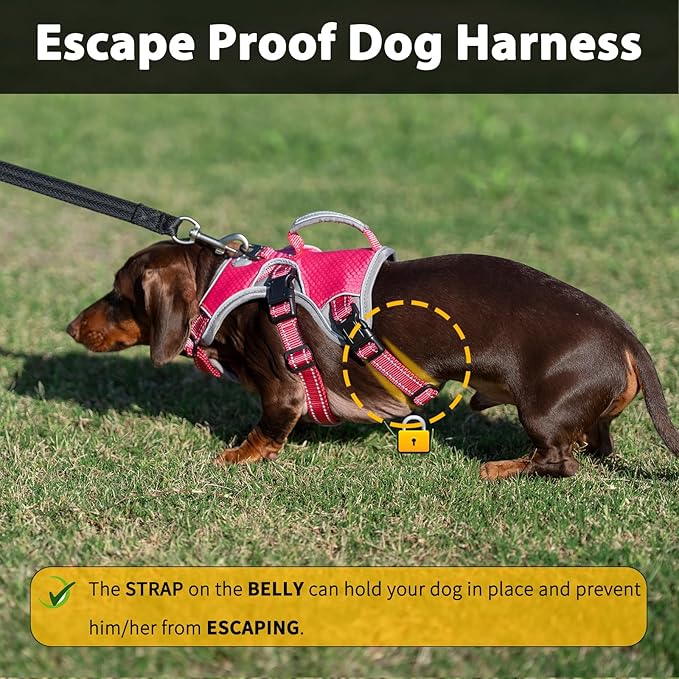 Escape Proof Dog Harness, Dachshund Harness, Reflective Dog Harness with Handle, Durable,Adjustable Vest for Small Medium Large Dogs Walking, Training, and Running Gear (Rose red,M)