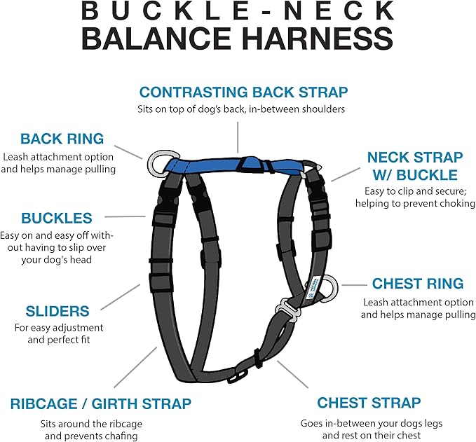 Blue-9 Buckle-Neck Balance Harness, Fully Customizable Fit No-Pull Harness, Ideal for Dog Training and Obedience, Made in The USA, Camo, X-Small
