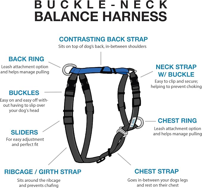 Blue-9 Buckle-Neck Balance Harness, Fully Customizable Fit No-Pull Harness, Ideal for Dog Training and Obedience, Made in The USA, Blue, X-Small