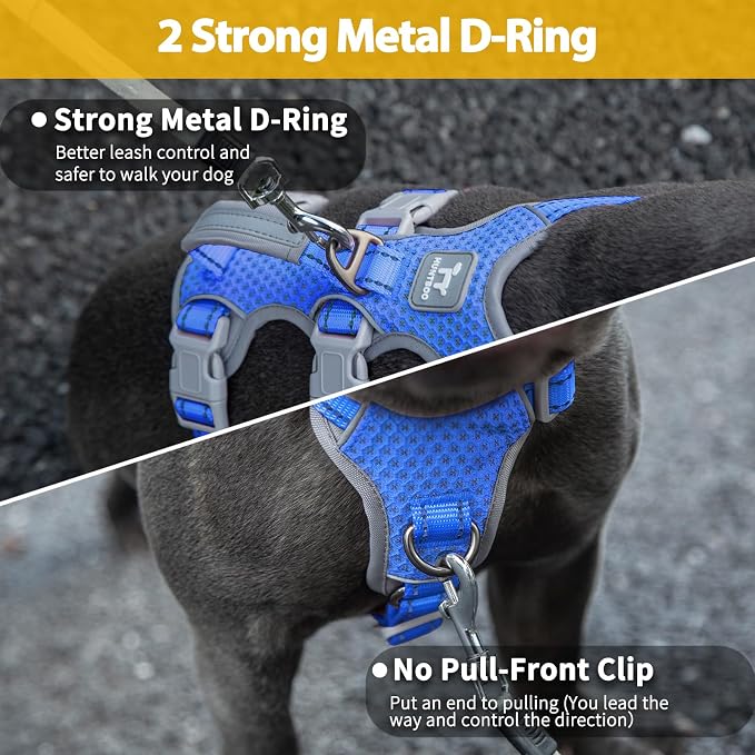 Escape Proof Dog Harness,No Pull Reflective Harness with Lift Handle,Adjustable Pet Vest with Front and Back Leash Clips for Small Medium Large Dogs Walking Hiking Training (Sea Blue,XL)