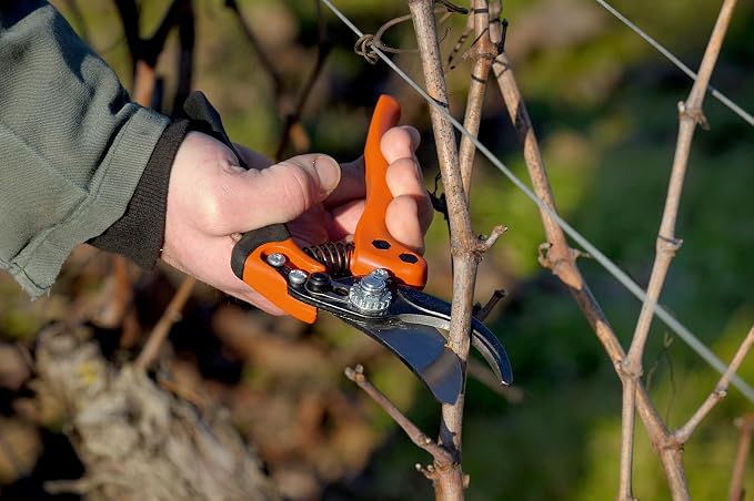 Bahco BAHPX-M2 Pruner PX Medium, 7-1/2" Length with 3/4" Cutting Capacity and #2 Blade, ERGO Garden Shears for Precision Slicing Cuts, Comfortable, Accurate and Low-Fatigue Pruning