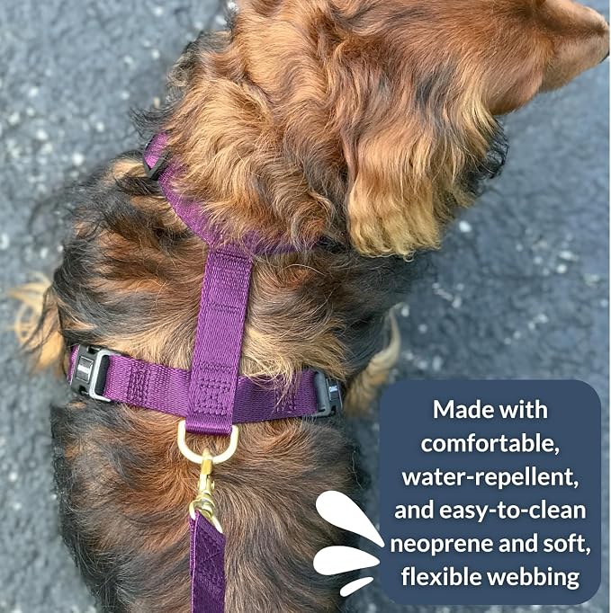 Adventure Dog Harness - Stylish, and Durable Large Dog Harness for Outdoor Adventures and Everyday Wear - Plum Purple Neoprene Adjustable Harness for Dogs with Reflective Piping, Brass D-Ring