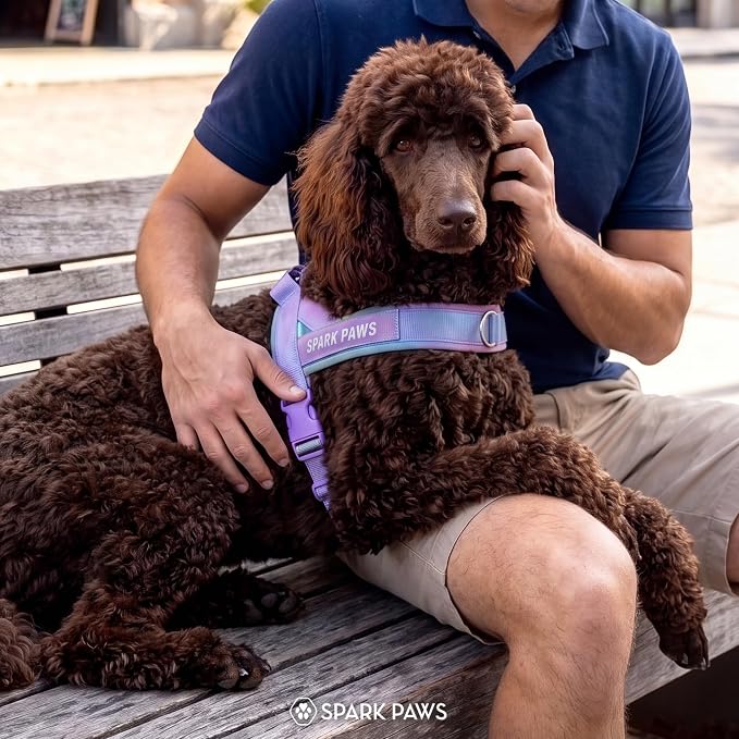 Spark Paws No Pull Front Clip Dog Harness - Easy On, Padded and Lightweight | Two Clips, On in Seconds, Chest Bearing, Australian Style, No Throat Pressure, for Small Medium and Large Breeds