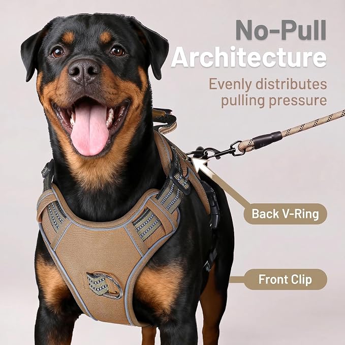 3-in-1 Dog Vest Harness Leash Set for Daily,Service,Training Animal Medium