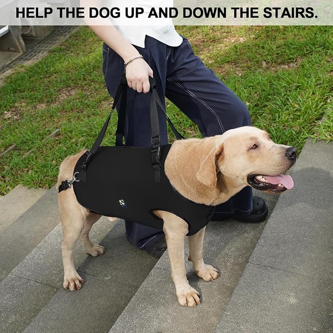 Coodeo Dog Lift Harness, Pet Support & Rehabilitation Sling Lift Adjustable Padded Breathable Straps for Old, Disabled, Joint Injuries, Arthritis, Loss of Stability Dogs Walk (Black, 2XL)