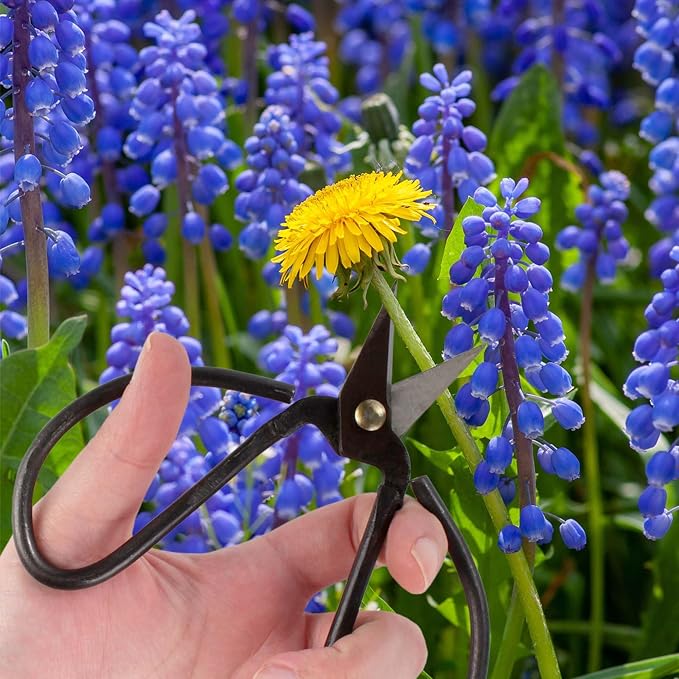 BambooMN 15 Piece Bonsai Master Tools Set with Case, Shears, Concave Cutter, Knob Cutter, Wire Cutter, Bonsai Trimming, Branch Bending, Beginner Friendly - 1 Set