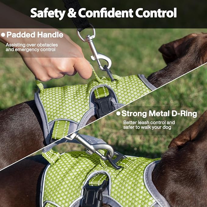 Escape Proof Dog Harness, Dachshund Harness, Reflective Dog Harness with Handle, Durable,Adjustable Vest for Small Medium Large Dogs Walking, Training, and Running Gear (Green,M)