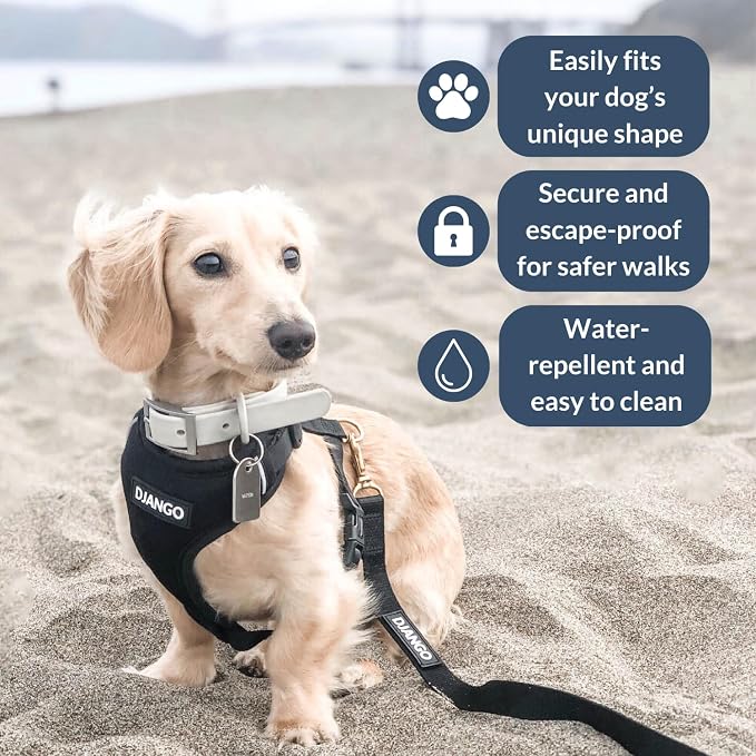 Adventure Dog Harness - Stylish and Comfortable Medium Dog Harness for Outdoor Adventures and Everyday Wear - Black Neoprene Adjustable Harness for Dogs with Reflective Piping and Brass D-Ring