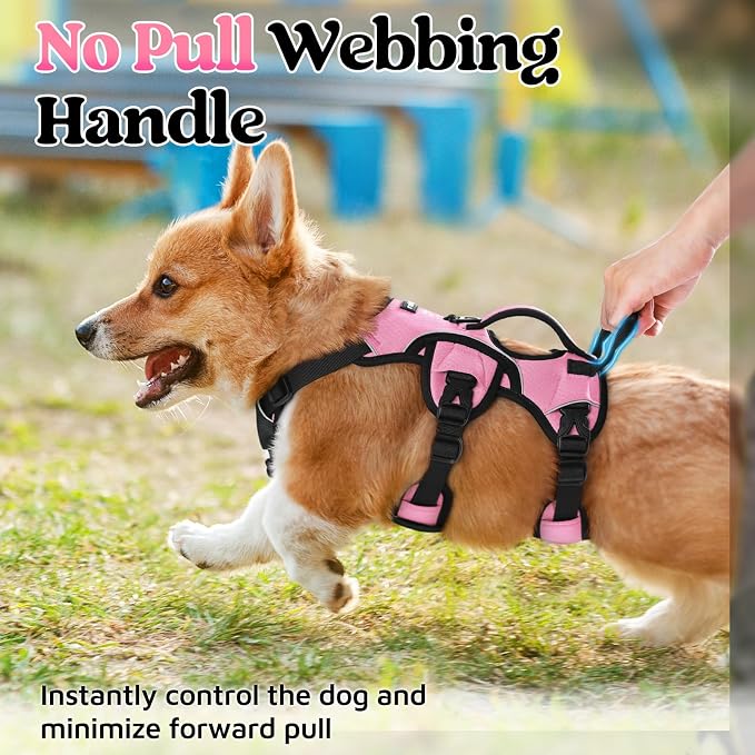 rabbitgoo Escape Proof Dog Harness for Small, No Pull with Lift Handle | No Escape, Full Soft Padded, Reflective Adjustable Vest, Leash Clip for Walking Hiking Training, Pink, Small
