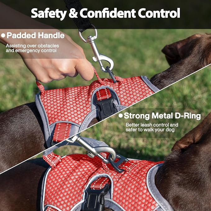 Escape Proof Dog Harness, Dachshund Harness, Reflective Dog Harness with Handle, Durable,Adjustable Vest for Small Medium Large Dogs Walking, Training, and Running Gear (Red,XL)