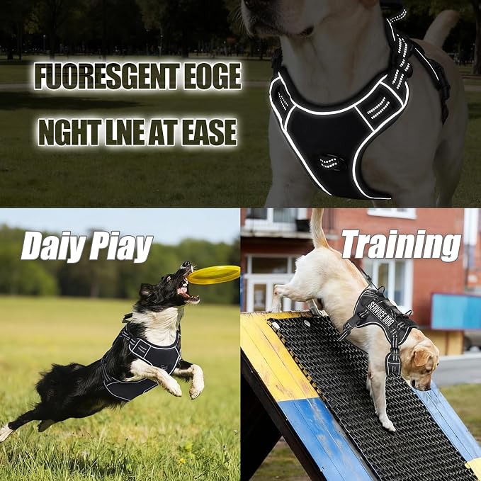 3-in-1 Dog Vest Harness Leash Set for Daily,Service,Training Animal Small