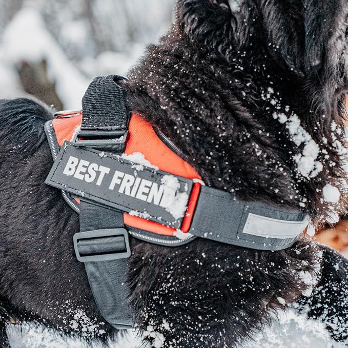 Personalized Dog Harness with Custom Name Patches, Adjustable Reflective No Choke Dog Vest with Handle for Extra Large Dog, Military Green, XL