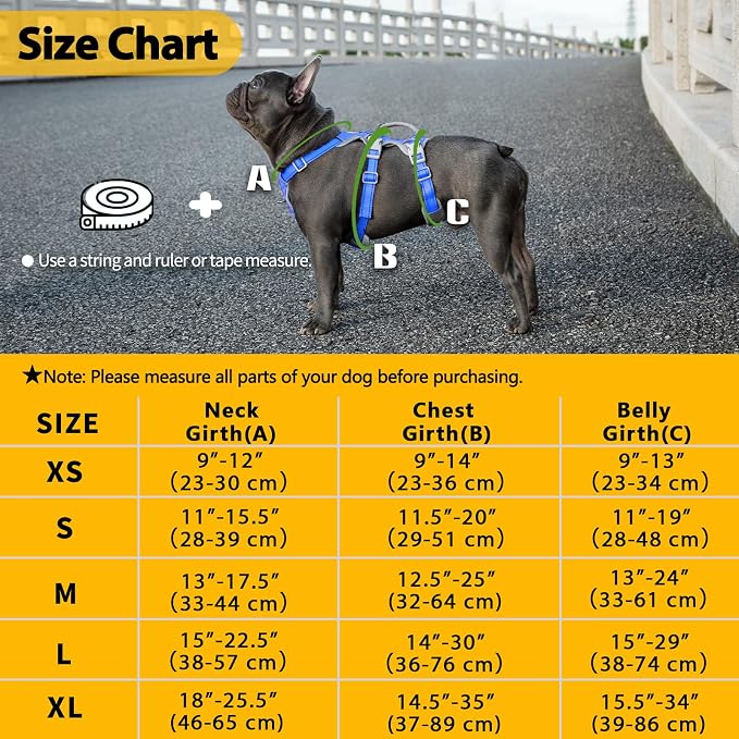 Escape Proof Dog Harness,No Pull Reflective Harness with Lift Handle,Adjustable Pet Vest with Front and Back Leash Clips for Small Medium Large Dogs Walking Hiking Training (Sea Blue,XL)