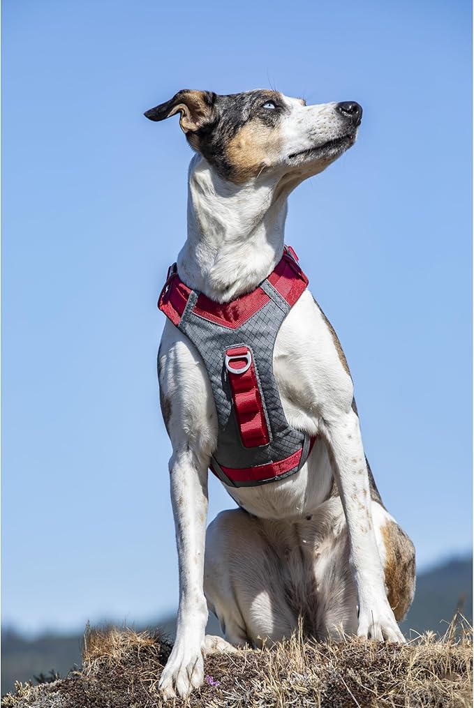 Kurgo Journey Air Dog Harness, Red, Small | Padded Chest, Ripstop Outer & Breathable Mesh, Back Assist Handle, Rust-Free Aluminum Hardware, Reflective Trim