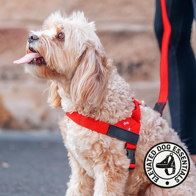 Dog Friendly Co. Dog Harness for Small Dogs (Red, XXSmall) | One Click Buckle, Chafe Resistant Webbing, Adjustable Neck & Chest, and Heavy Duty D-Ring, Sturdy Comfortable and Easy to Use