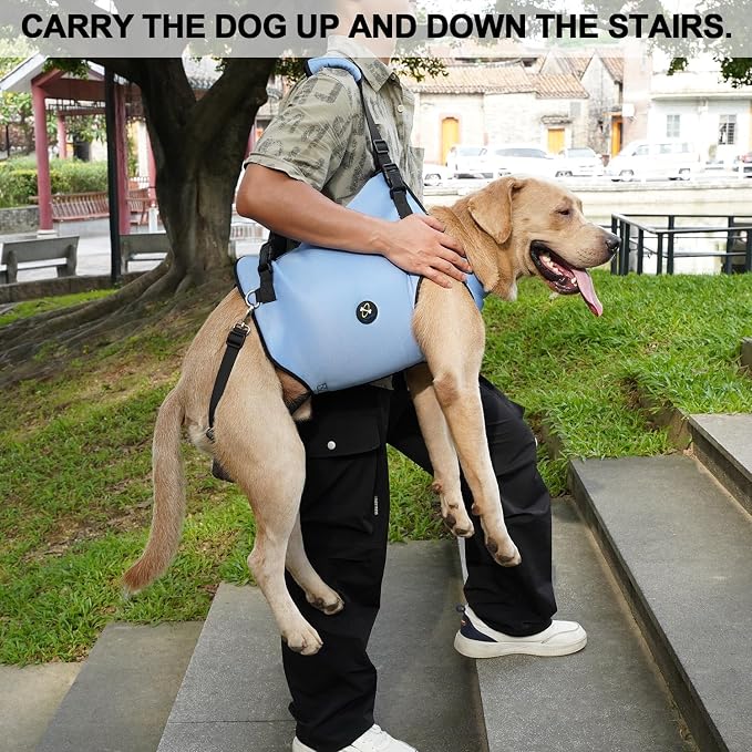 Coodeo Dog Lift Harness, Pet Support & Rehabilitation Sling Lift Adjustable Padded Breathable Straps for Old, Disabled, Joint Injuries, Arthritis, Loss of Stability Dogs Walk (Blue, 2XL)