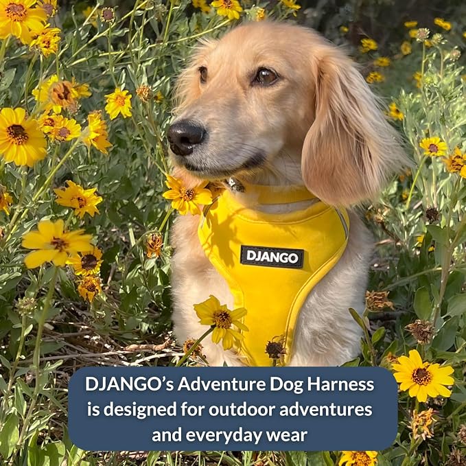 Adventure Dog Harness - Stylish Large Dog Harness for Outdoor Adventures and Everyday Wear - Dandelion Yellow Neoprene Adjustable Harness for Dogs with Reflective Piping and Solid Brass D-Ring