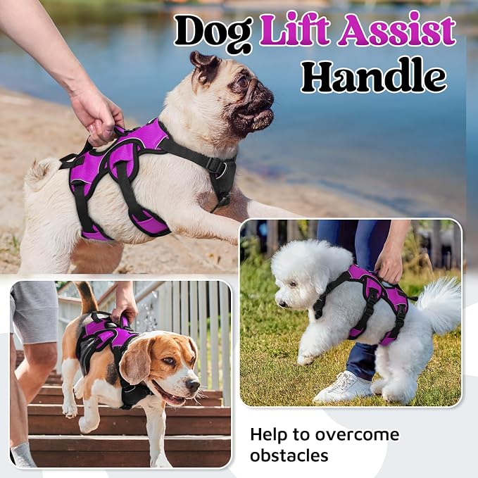 rabbitgoo Escape Proof Dog Harness for Small, No Pull with Lift Handle | No Escape, Full Soft Padded, Reflective Adjustable Vest, Leash Clip for Walking Hiking Training, Purple, Small
