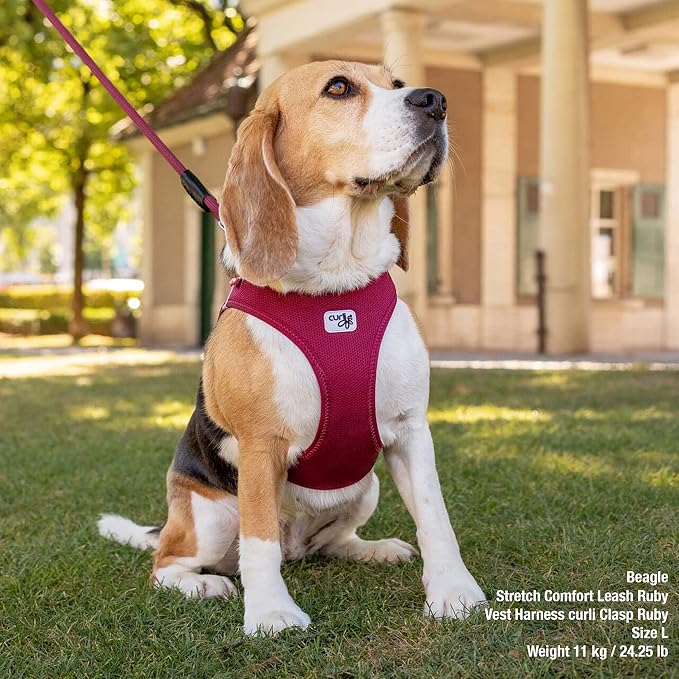 Vest Harness curli Clasp Air-Mesh Red S