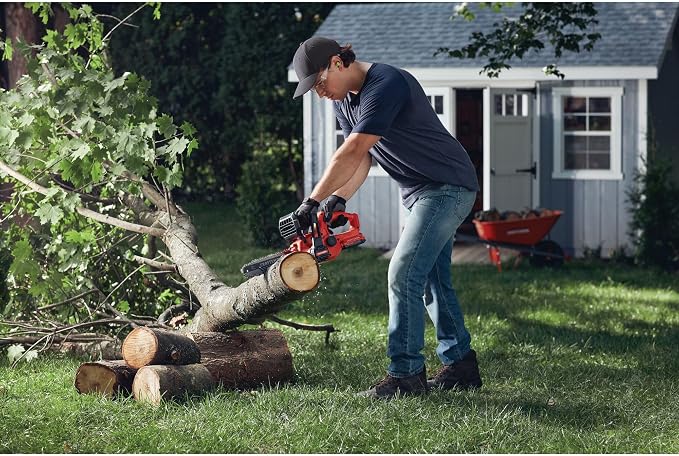CRAFTSMAN Mini Chainsaw, 10 inch Mini Chainsaw Cordless, Electric Chain Saw, V20 Battery and Charger Included, Handheld Tree Trimmer Wood Cutter (CMCCS610D1)