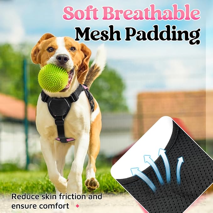 rabbitgoo Escape Proof Dog Harness for Small, No Pull with Lift Handle | No Escape, Full Soft Padded, Reflective Adjustable Vest, Leash Clip for Walking Hiking Training, Pink, Small