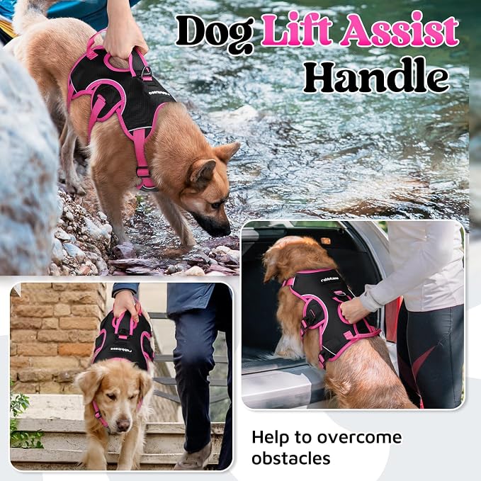 rabbitgoo Escape Proof Dog Harness for Medium, No Pull with Lift Handle | No Escape, Full Soft Padded, Reflective Adjustable Vest, Leash Clip for Walking Hiking Training, Rose & Black, Medium