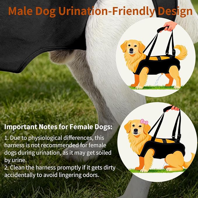 Full Body Dog Lift Harness, Support Senior & Disabled Dogs Walking | Help Up & Down Stairs Grooming, Dog Sling Backpack, Front Hind Leg Joint Injuries, Reflective, Soft Padded Handle | Black, XL