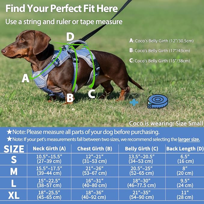 Escape Proof Dog Harness, Dachshund Harness, Reflective Dog Harness with Handle, Durable,Adjustable Vest for Small Medium Large Dogs Walking, Training, and Running Gear (Technicolor Blue,M)