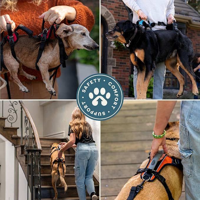 Help 'Em Up® - Dog Lift Harness│ Adjustable Lifting Harness for Dogs │ Full Body Support, Rear Leg Support (Conventional, XL, 125-225 lbs)