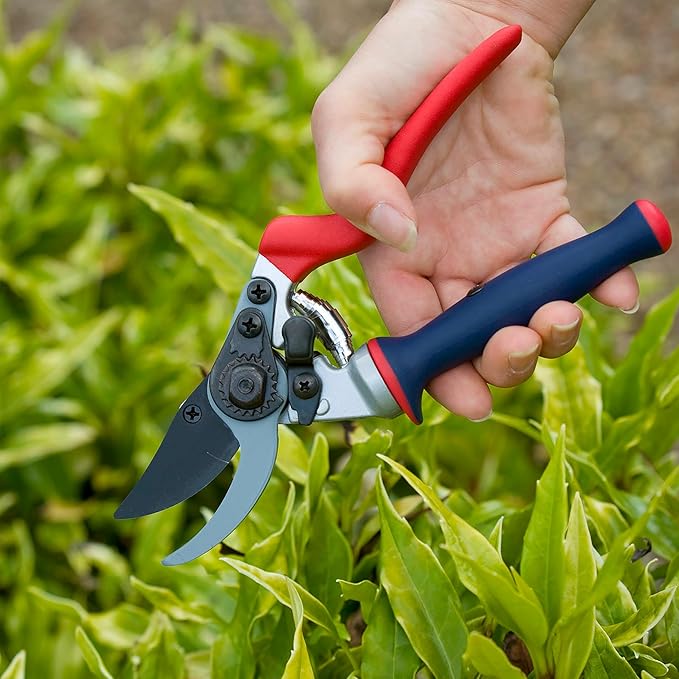 Spear & Jackson 6259BS Razorsharp Bypass Pruners with Rotating Handle