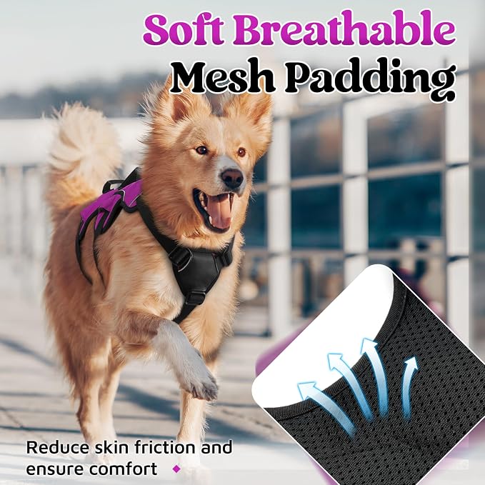 rabbitgoo Escape Proof Dog Harness for Large, No Pull with Lift Handle | No Escape, Full Soft Padded, Reflective Adjustable Vest, Leash Clip for Walking Hiking Training, Purple, Large