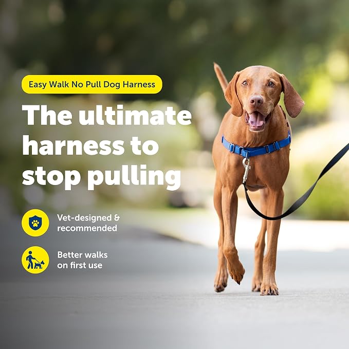 PetSafe Easy Walk Harness, No Pull Dog Harness, Royal Blue, Medium | Patented Martingale Loop Gives Gradual Shoulder Pressure to Stop Pulling, Front-Chest Leash Clip Prevents Gagging
