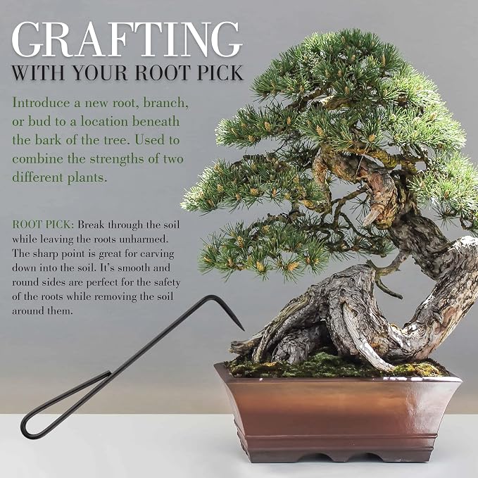 BambooMN Bonsai 10pc Advanced Care Set, Black Carbon Steel Tools, Shears, Concave & Knob Cutter, Wire Cutter, Trimming Scissor, Beginner Friendly