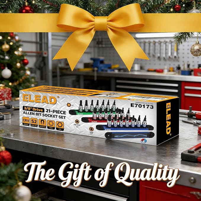 21-Piece Allen Bit Socket Set, 3/8" Drive Hex & Torx Socket Set with Magnetic Sockets Organizer Rail, S2 Steel Bit & Chrome Vanadium Steel Sockets for Professional Garages Workshop