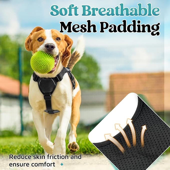 rabbitgoo Escape Proof Dog Harness for Small, No Pull with Lift Handle | No Escape, Full Soft Padded, Reflective Adjustable Vest, Leash Clip for Walking Hiking Training, Grey, Small