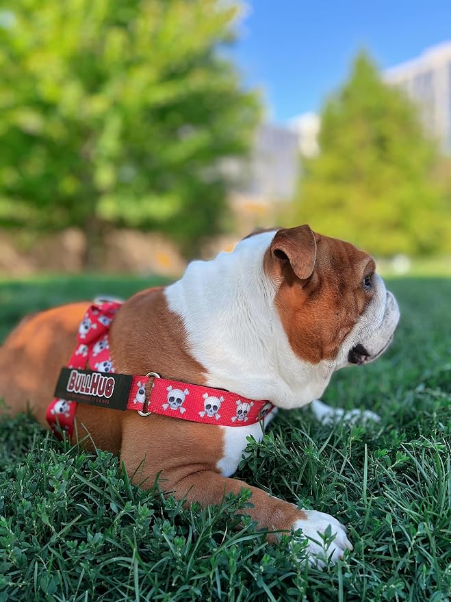 Adjustable Dog Harness– No Pull, No Choke – for English Bulldogs, French Bulldogs, Pugs & Broad-Chested Breeds – Easy, Safe Walks (Check, Large)