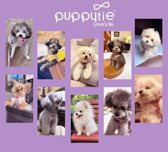 Puppytie Small Dog Harness and Leash Set, Light Purple, S (9-17.5 lbs) | Dog Harness Small Sized Dog, Dog Leash for Small Dogs, Soft and Lightweight, Puppytie Dog Harness for Daily Walks