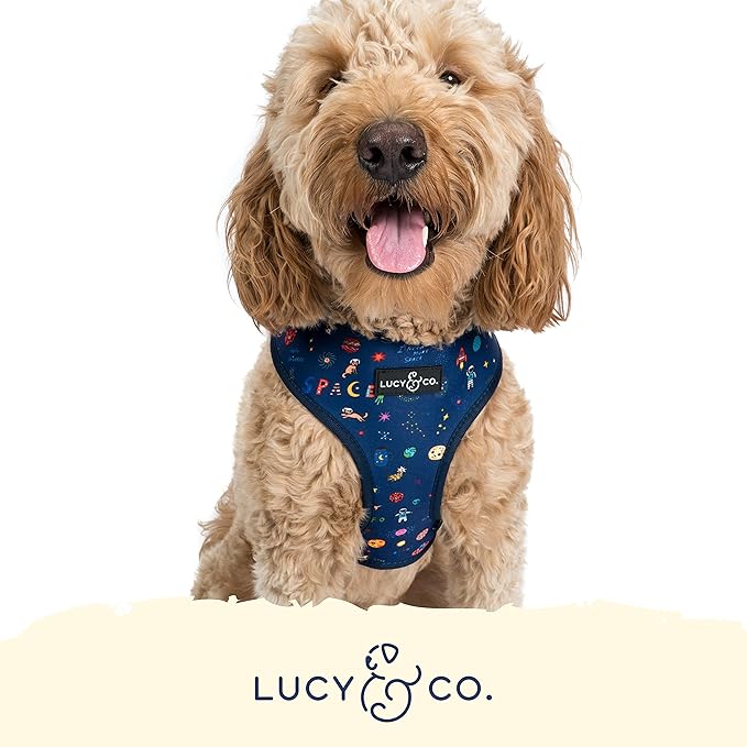 Lucy & Co. Reversible Dog Harness - Water-Repellent Neoprene, Dual-Print Design, Easy Swap Style, Adjustable Comfort Fit - Space Doodle Reversible Harness - Small
