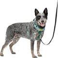 PetSafe Easy Walk Comfort No Pull Dog Harness, Green Gingham, Medium | Stops Pulling on First Use with Front Martingale Loop, Padded Comfort, 5-Point Adjustable Fit