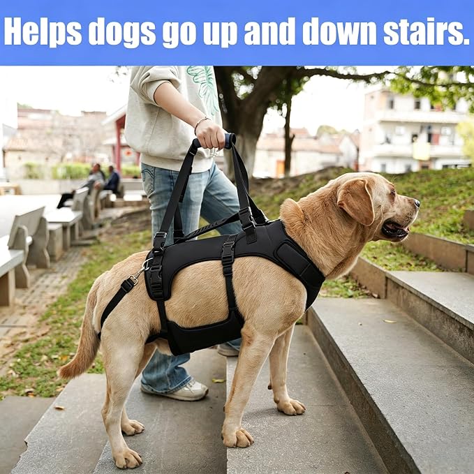 COODEO Dog Lift Harness for Large Dogs, Full Body Support Mobility Aid for Senior Dogs, Adjustable Help for Weak Hind Legs, Arthritis, Stairs & Cars(Black,XXL)