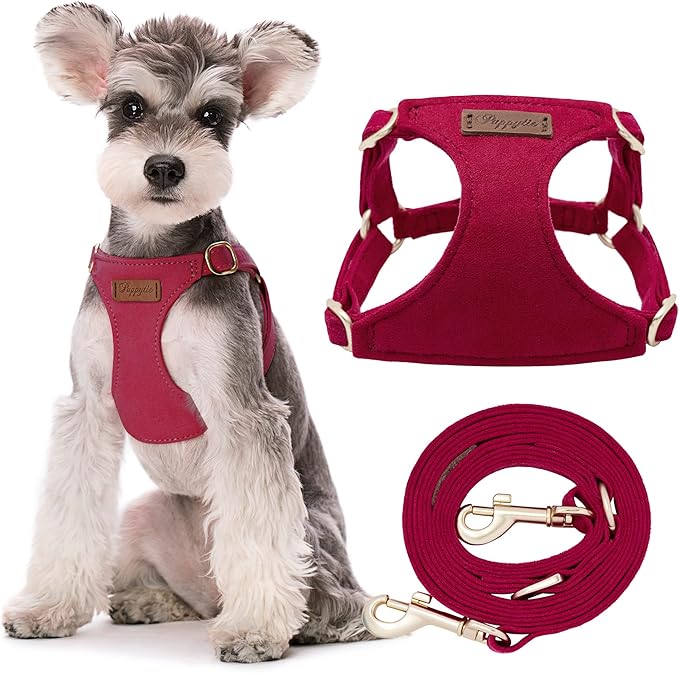 Puppytie Small Dog Harness and Leash Set, Red, S (9-17.5 lbs) | Dog Harness Small Sized Dog, Dog Leash for Small Dogs, Soft and Lightweight, Puppytie Dog Harness for Daily Walks
